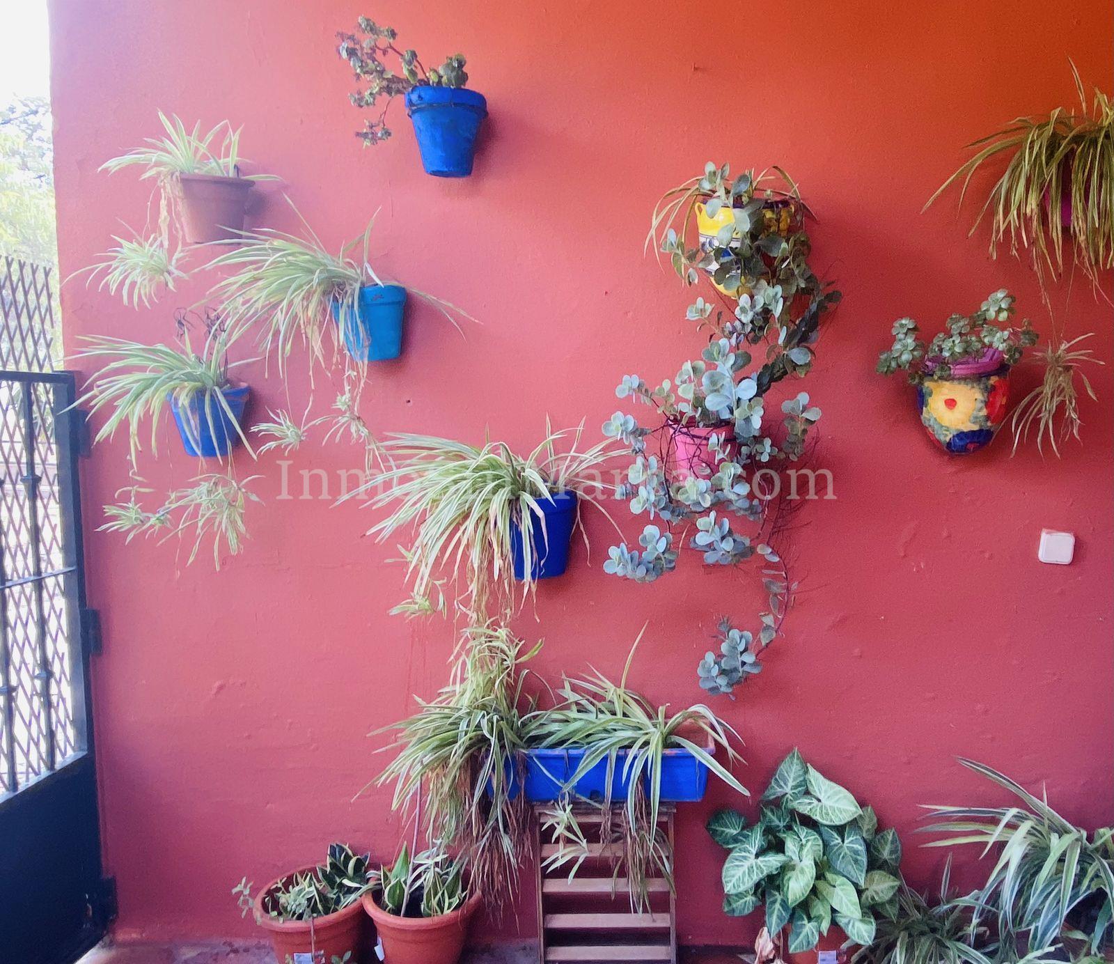 Finca - Cortijo En Venta En Alhaurín de la Torre_4